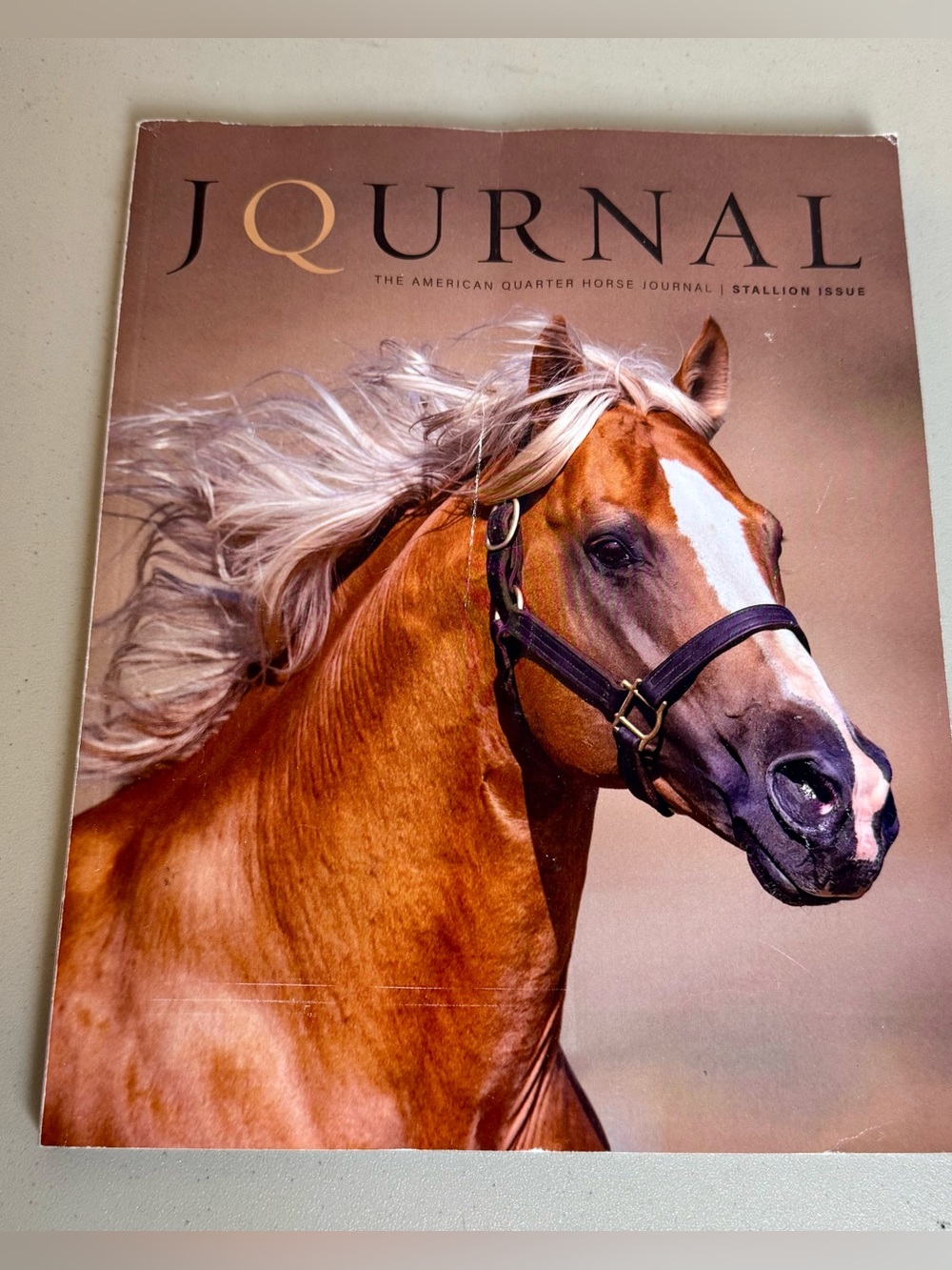 The American Quarter Horse Journal November-December 2024 Edition Stallion Issue